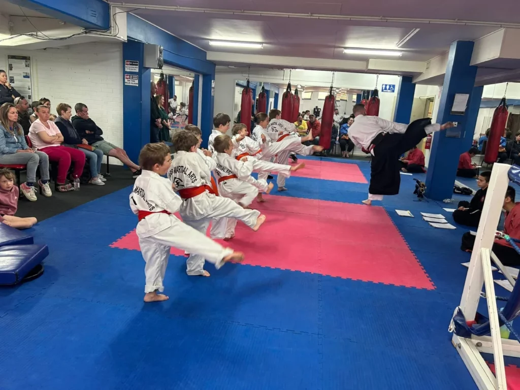 Kids Martial Arts Finley