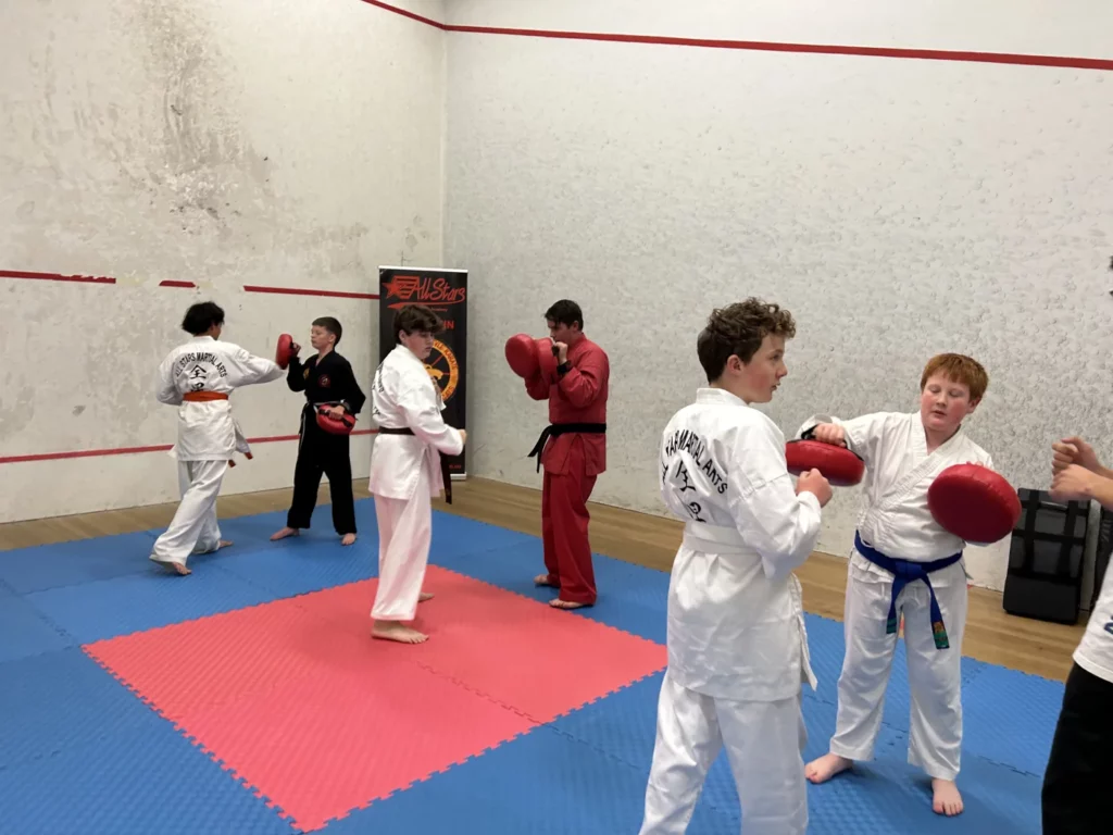 Teen Martial Arts Deniliquin
